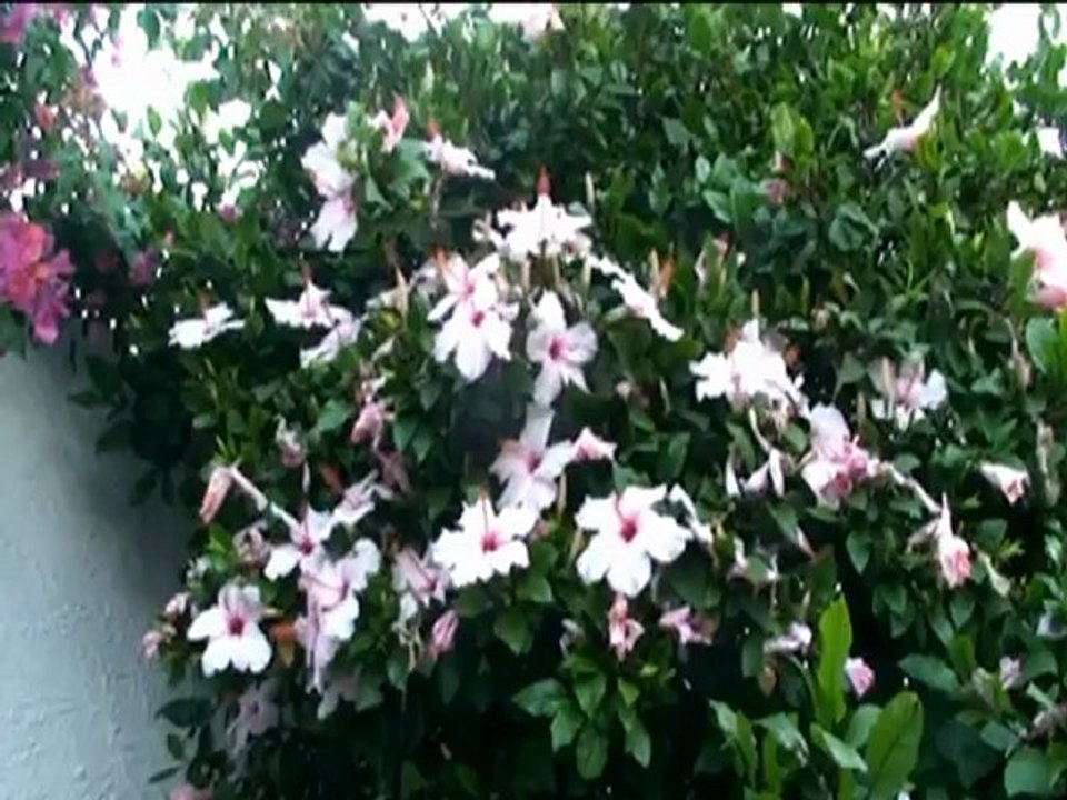 SICILE ILES EOLIENNES