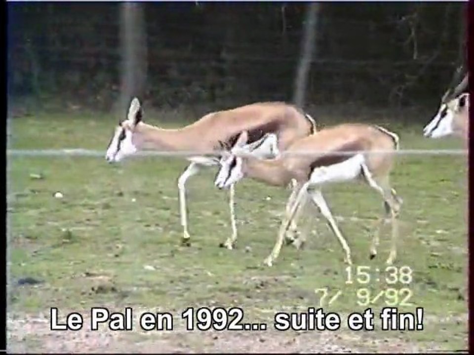 Le Pal en 1992... suite et fin!