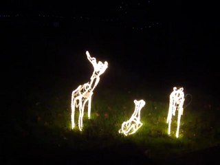 décembre 2012 lumières de Noel