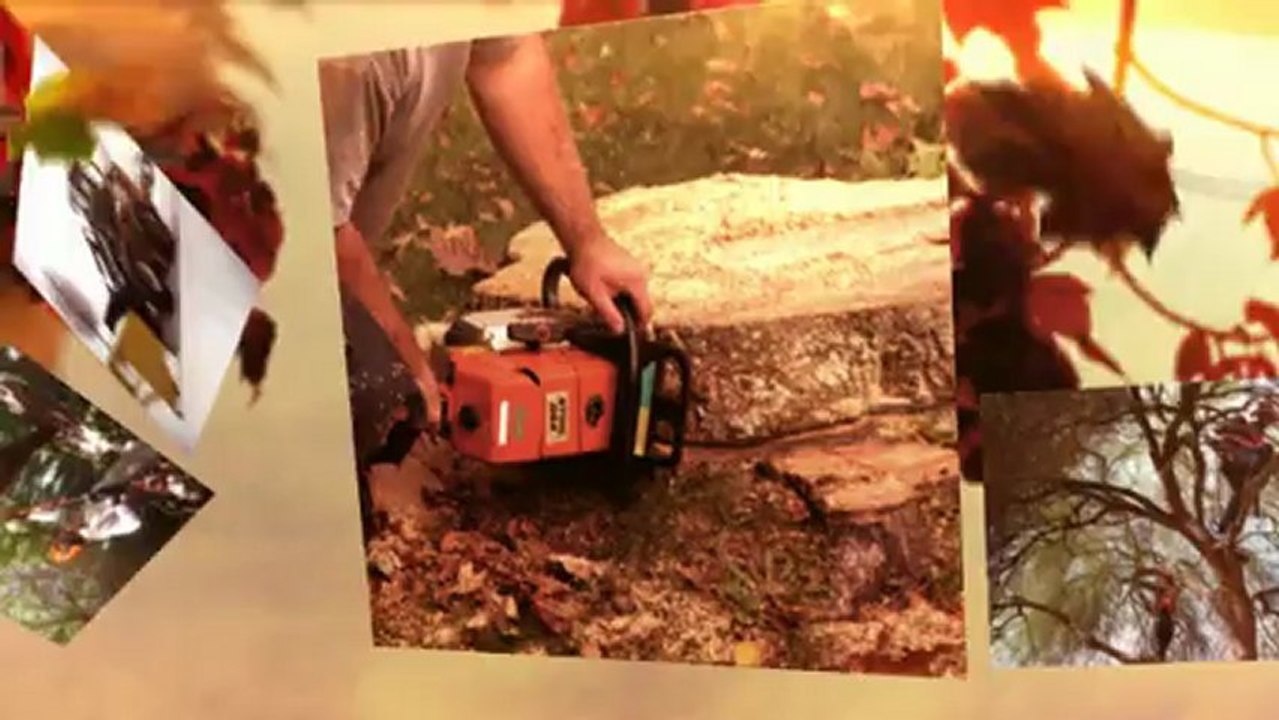 Tree service Milwaukee