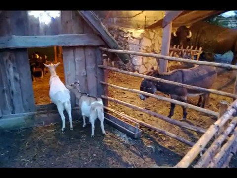 Moje Święta - Lumia 920 - Testuj z Orange