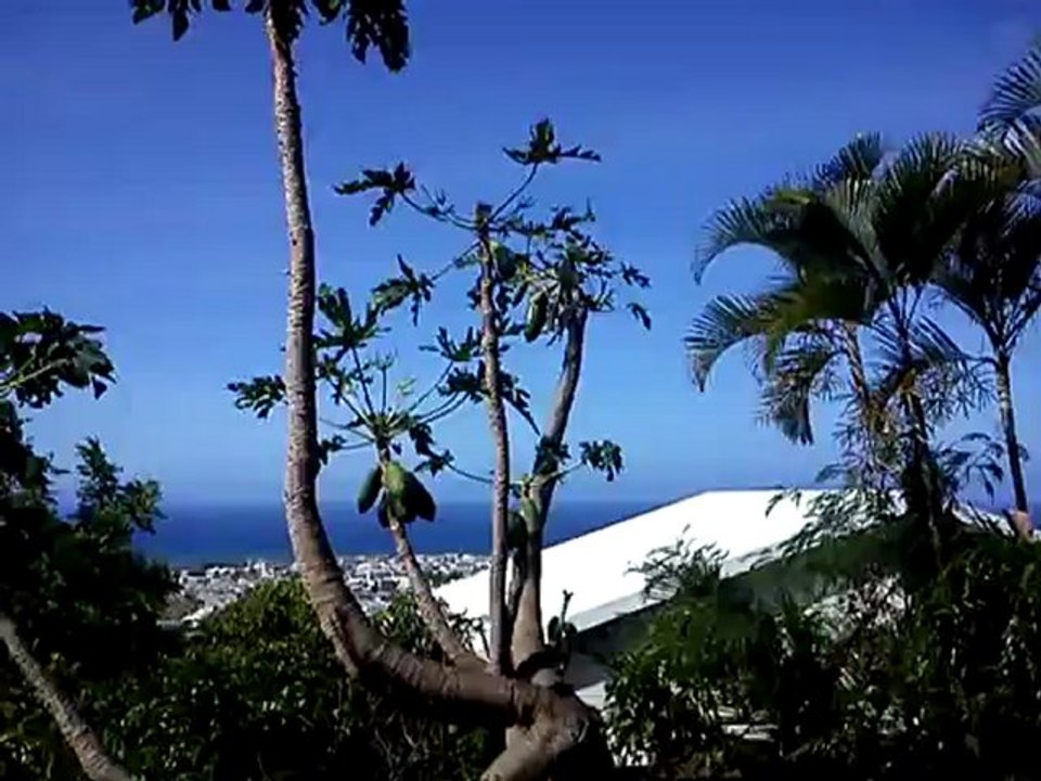 Le calme avant la tempête