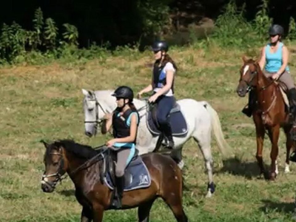 Equipe competition des Ecuries de Crossey 2011-2012