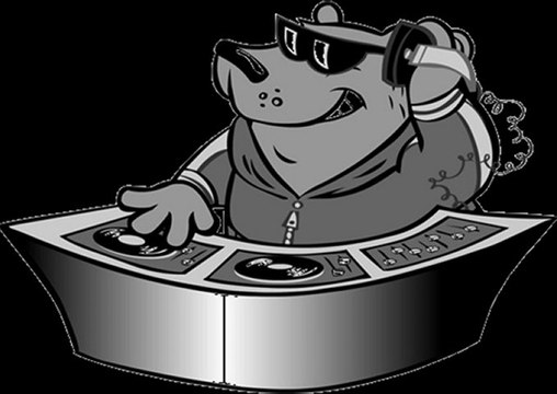 Dj Can Uzman vs.Ziynet Sali Rüya Remix