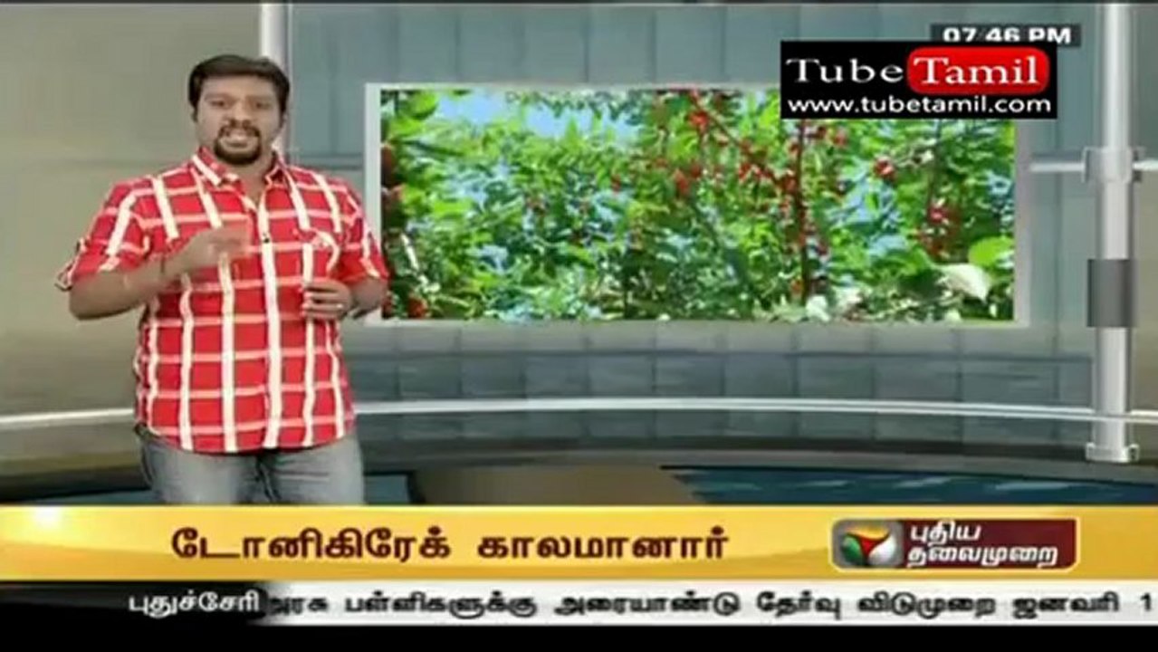 konjamsooru_(new)