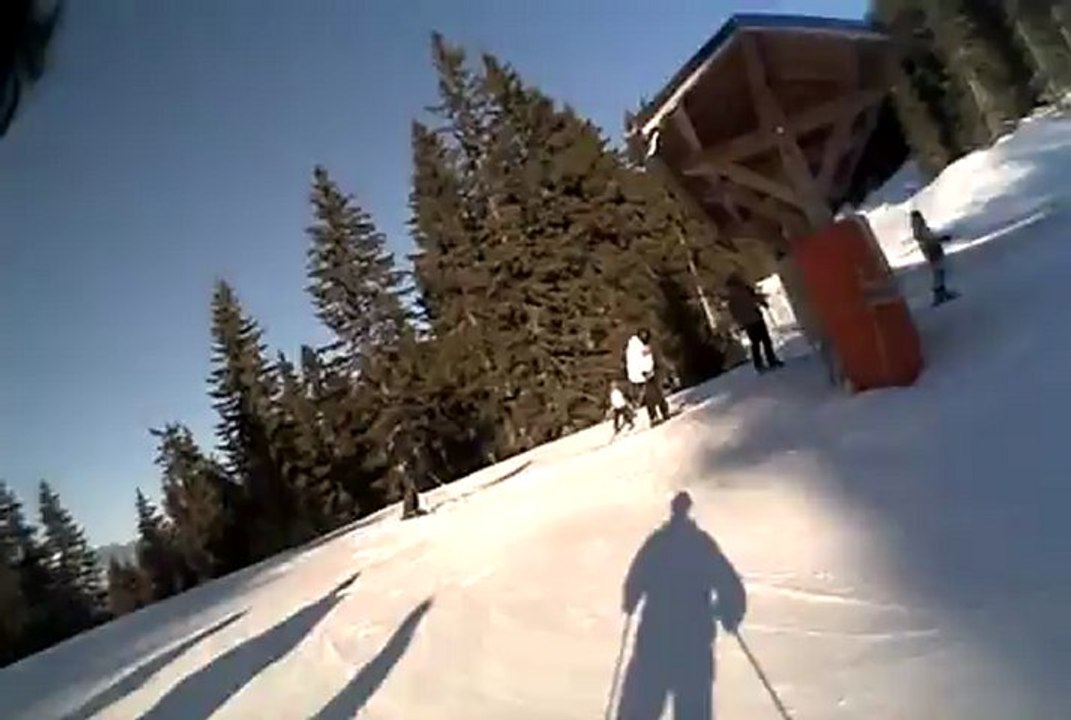 Chamois en fin de journée