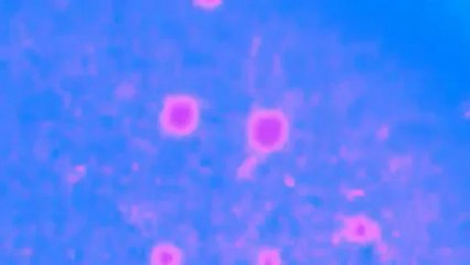 Night Vision in the United Kingdom