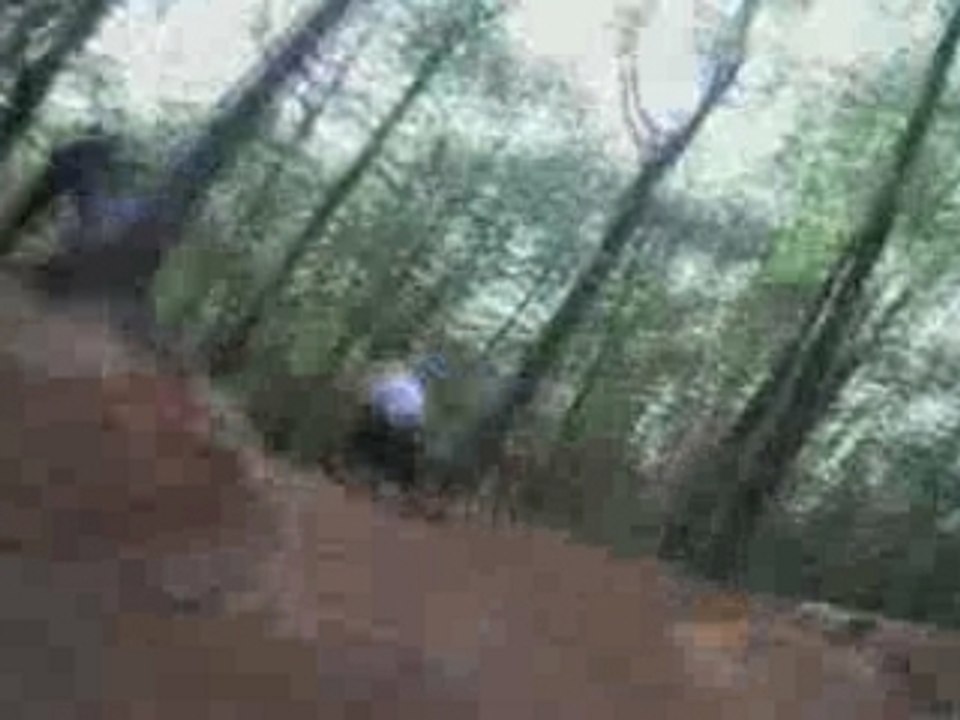 VTT BOIS DE MEUDON 15/10