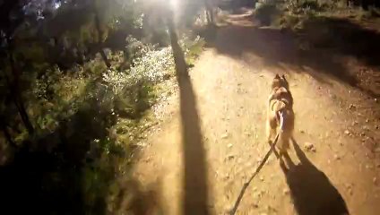 bon morceau mail valmasque