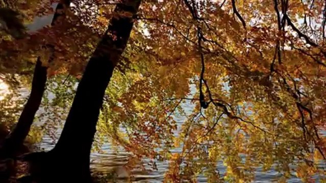 RAHMİ SALTUK-AH BİR ATAŞ VER