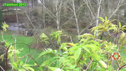 Le Téléthon 2012 à Courpière, Auvergne