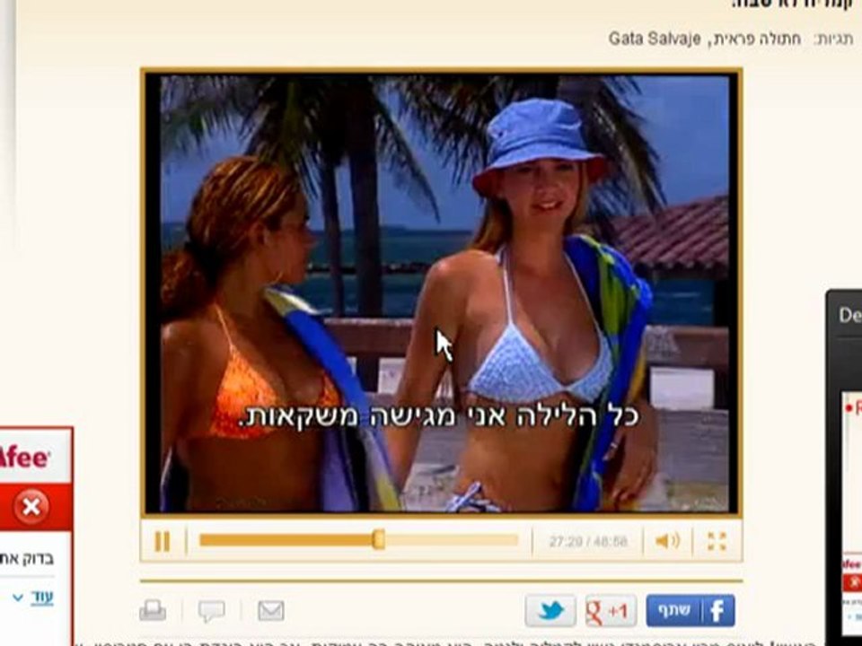 חתולה פראית פרק 1 (פרק מלא )