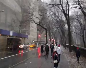 central park-snow