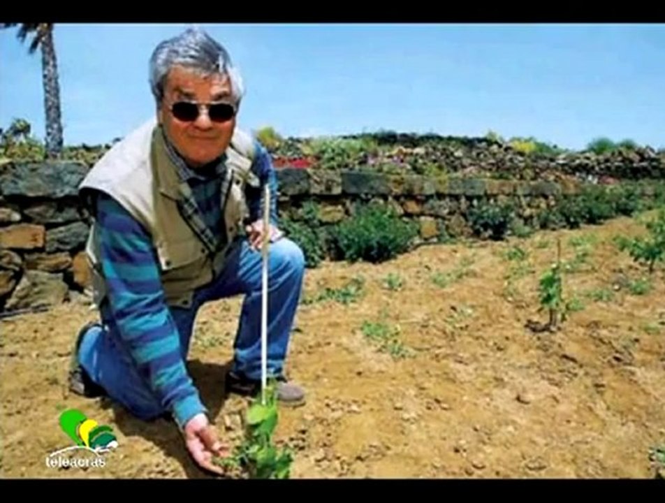 Ruoppolo Teleacras - Attentato a cantina Mannino