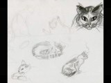 Art animalier dessins de chats domestiques et chaton dessinés à main levée