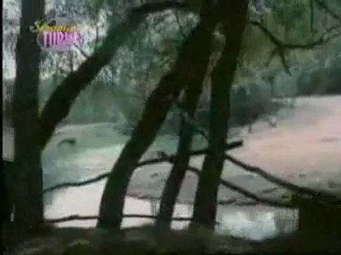 Ferdi Tayfur - Sanma sana dönerim -