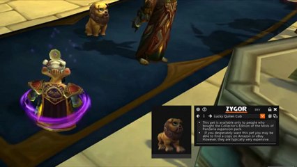 World of Warcraft Mists of Pandaria Pet Battle HUD & Creature Detector How To Guide