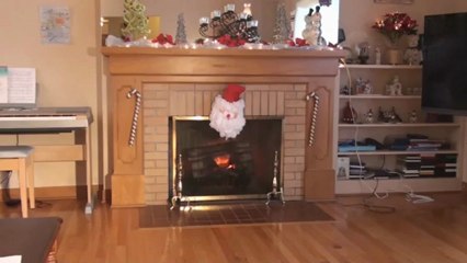 Dimplex Electric Fireplace Insert , Model DF3033 ST