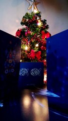 Testuj z orange zadanie 1