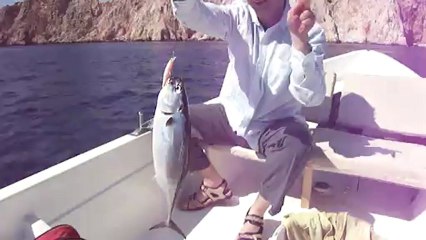 ADRASAN BALIK AVI -  - www.adrasanbalik.com