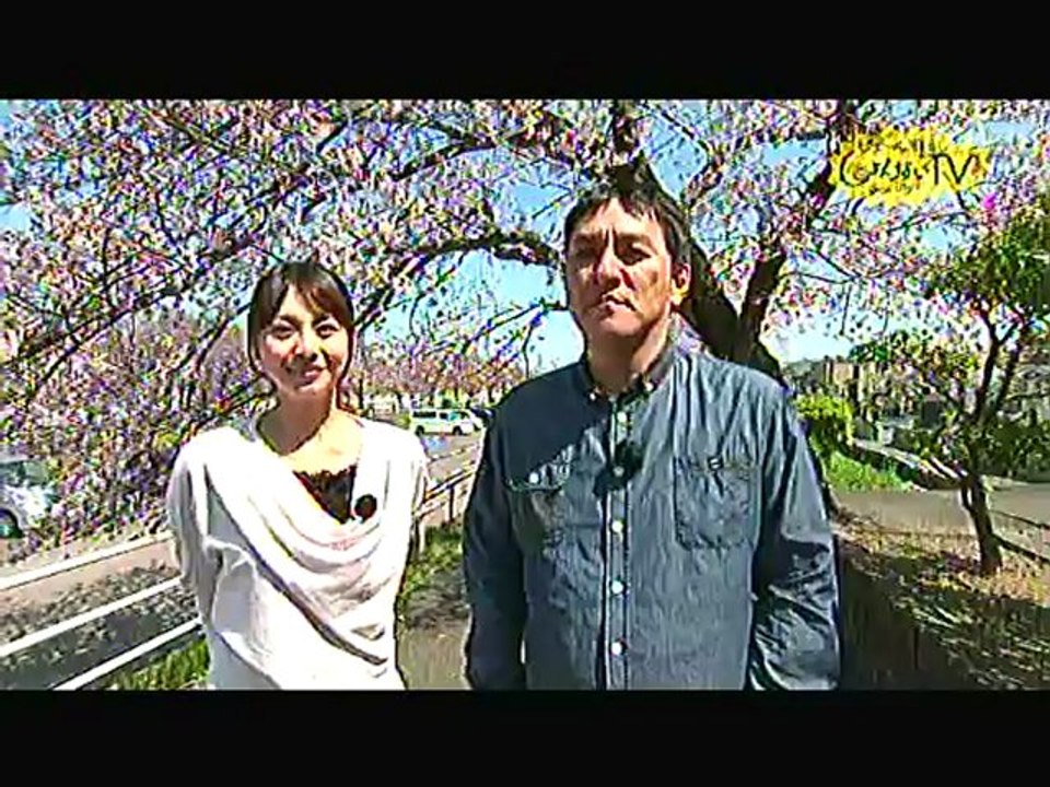 121231-0311-0400 しょんない