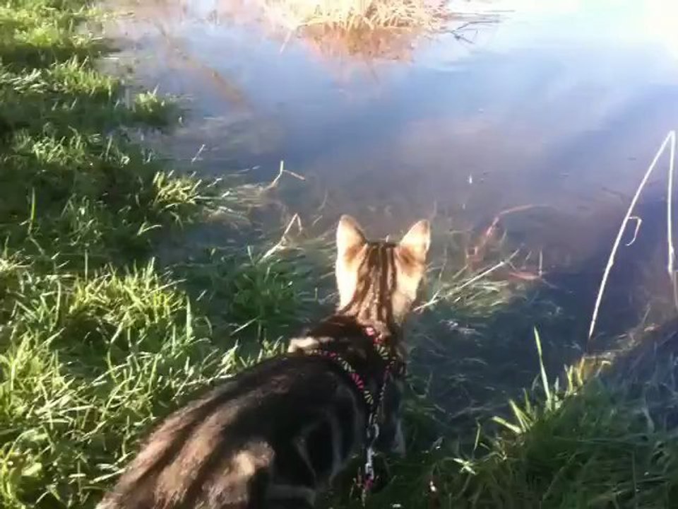 Première sortie de Nami