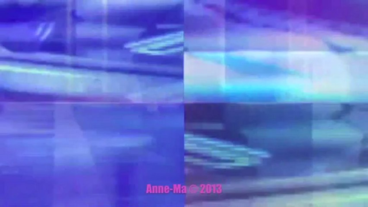 Voeux Anne-Ma 2013