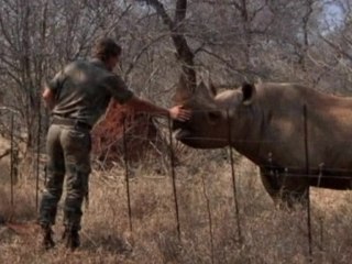 Rhino poaching up again in 2012