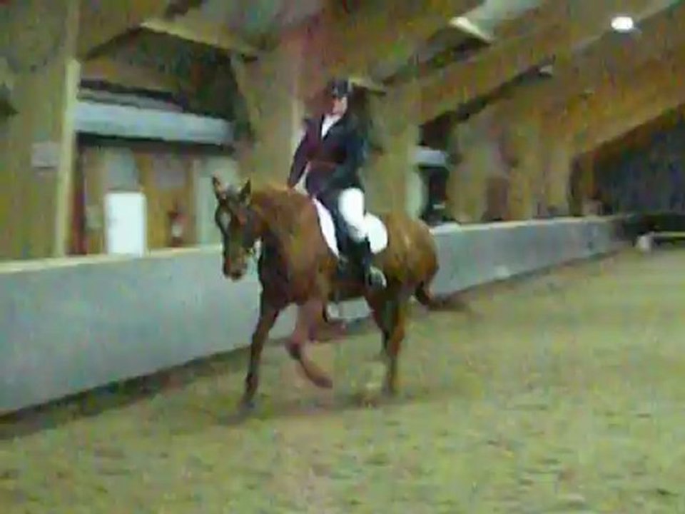 Dressage club 2 grand prix 23-12-2012 Pietro et Cybèle BLATRIX