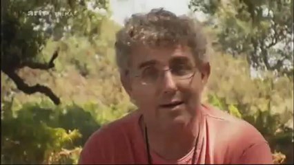 La guerre des fourmis