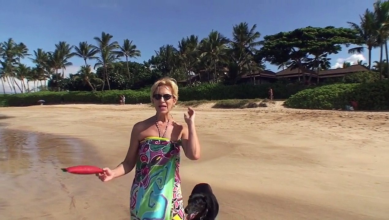 Beach Walk 774 - Releasing Resistance