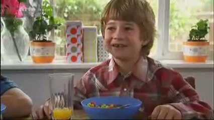 Le monde secret des termites