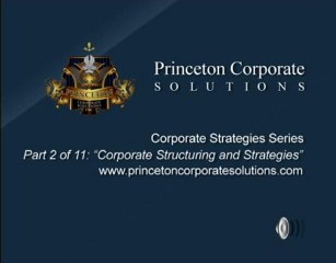 Private Placement Memorandum Example and Private Offerings