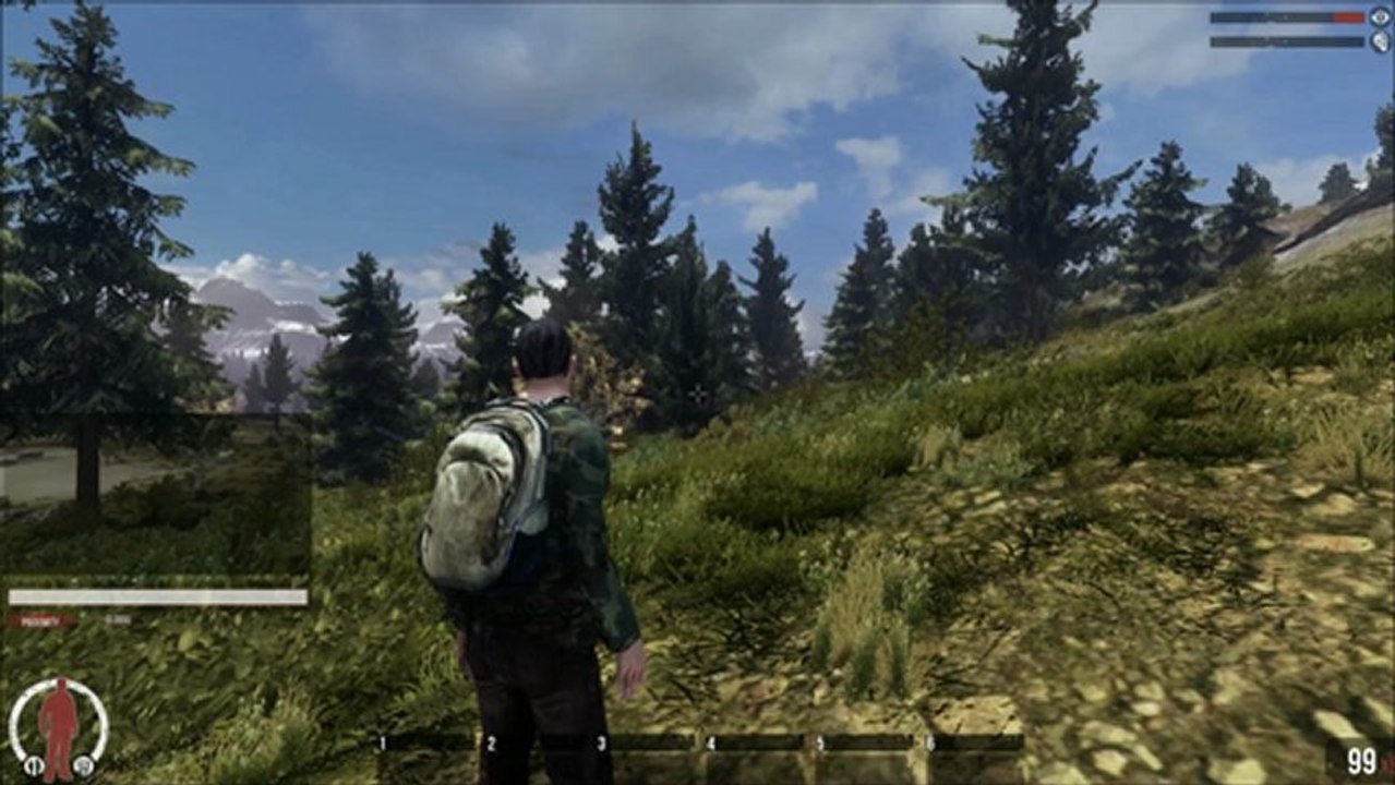 The War Z - Presentation de War z