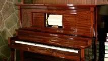 Player Piano - Dardanella 1920 - Piano mécanique