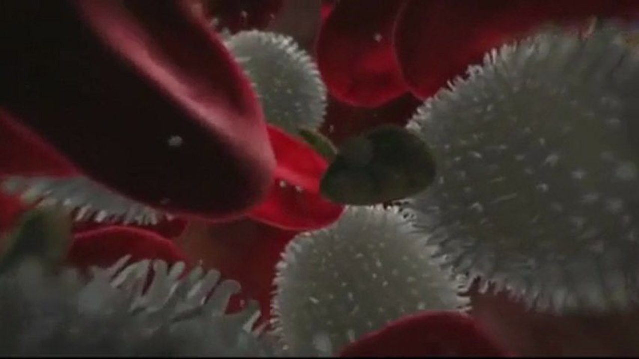 SIDA la Vérité par le Professeur Luc Montagnier