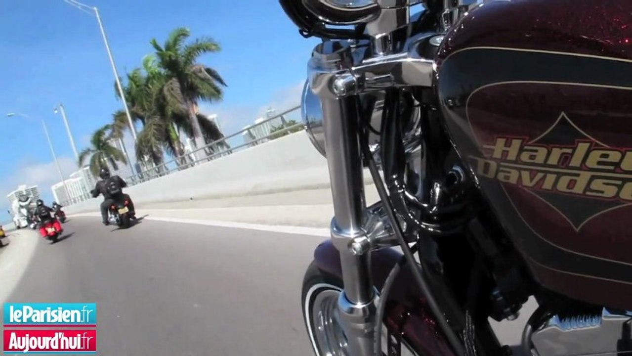 Miami Dream !