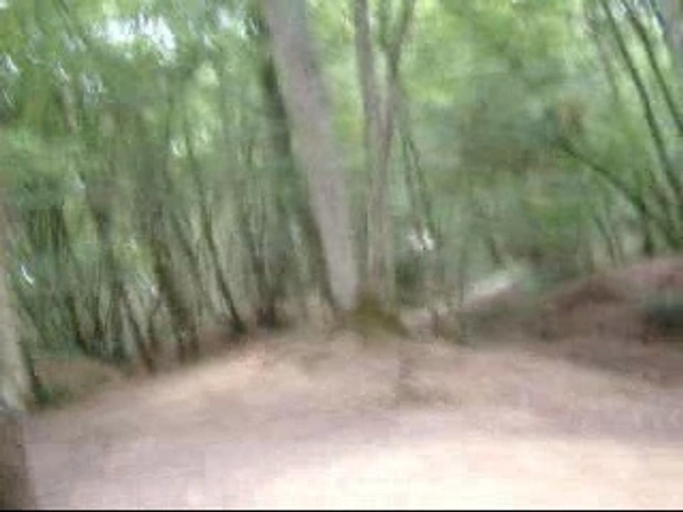 RETOURN IN THE WOOD ON AN THE UNICYCLE