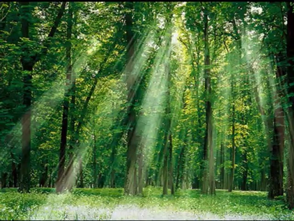 愛燦燦