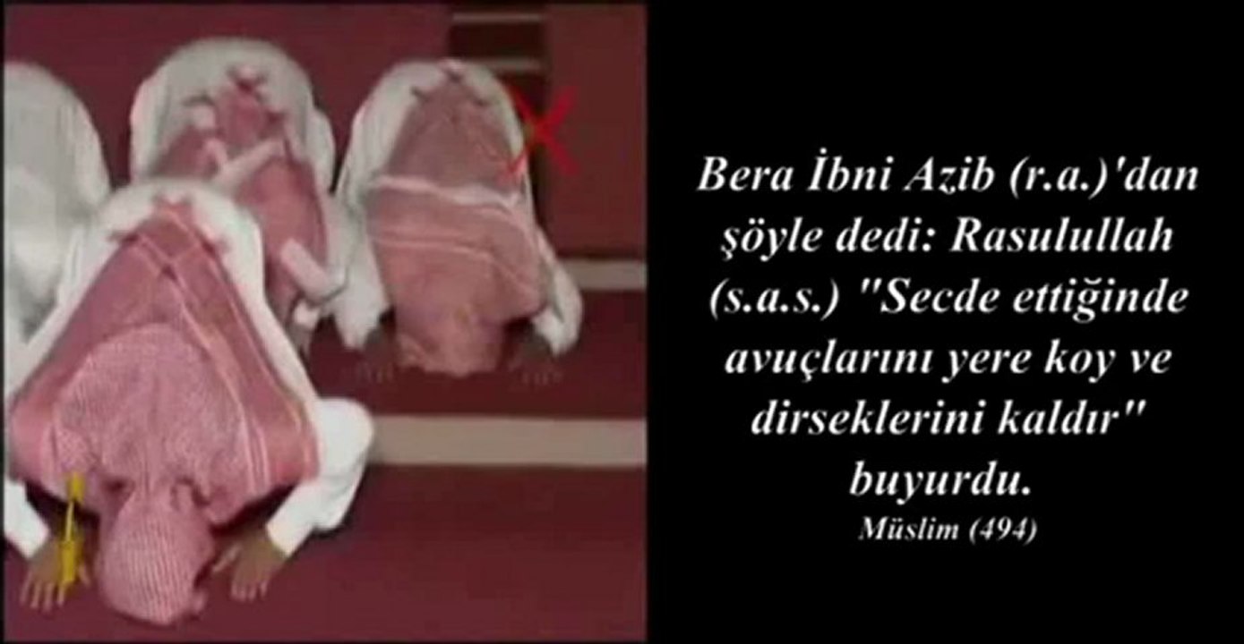 Köpek oturuşu
