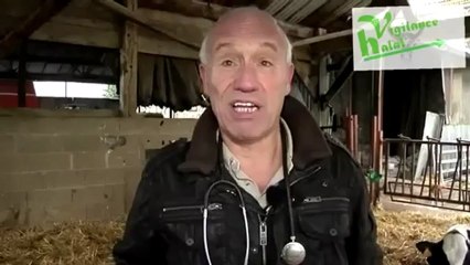 Les dangers du halal