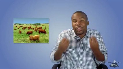 Word to the Wise -- Dangers of Co-Signing a Loan For a Friend