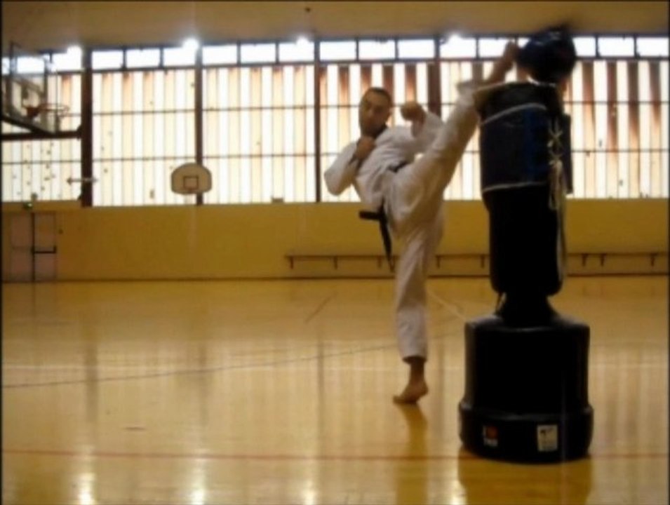 5 coups de pieds spécifiques du taekwondo (touches à la tête)