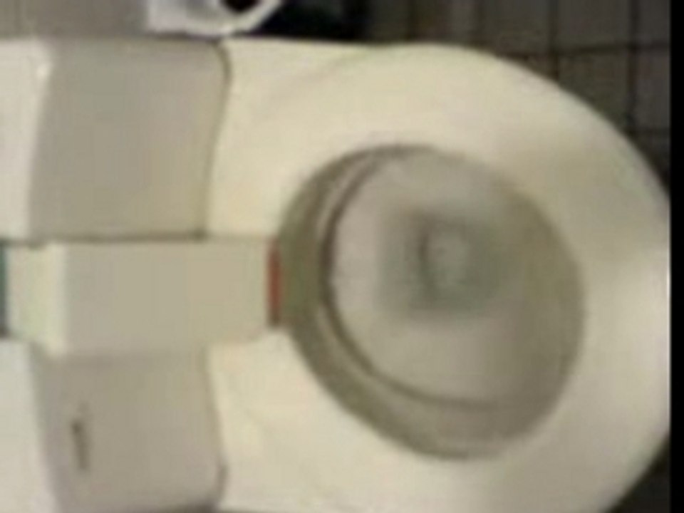 SaniFair - geiles Klo! ;-)