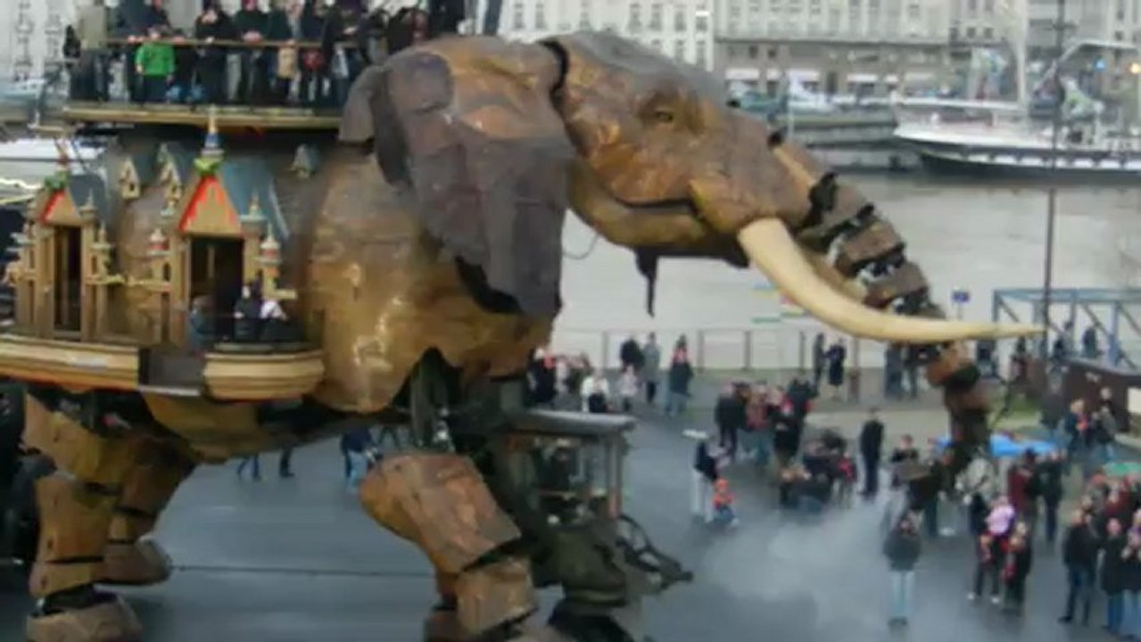 Elephant cri