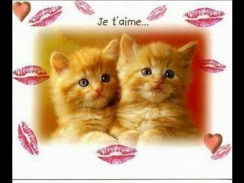 JENNY   montage vidéo pour PAPI JO....