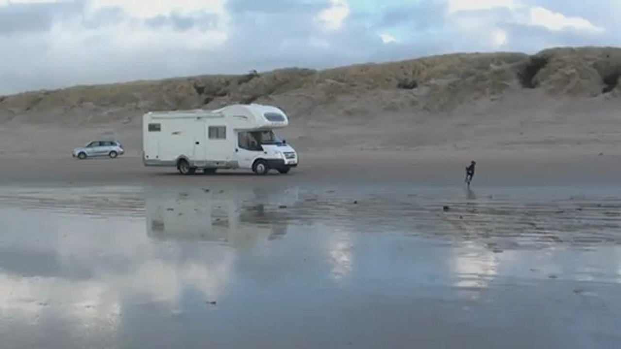 Sloughi Lola und Sloughi Lilo toben in Vejer