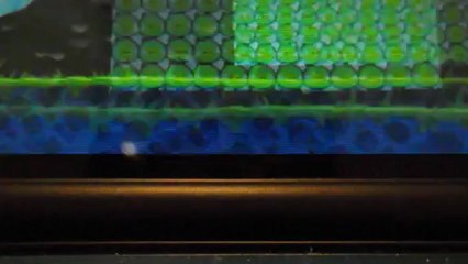 Fujifilm Finepix JV300 Camera Test.