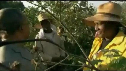 The Curses Episode 8 Afro Peru