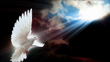 Brand X Music: Eternal Flame (No solo vox)